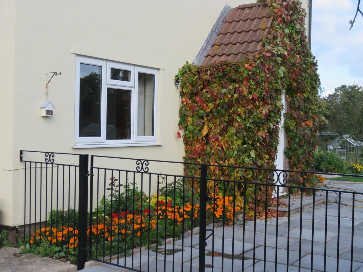 Little Orchard Apartment Pont Yates Exterior foto